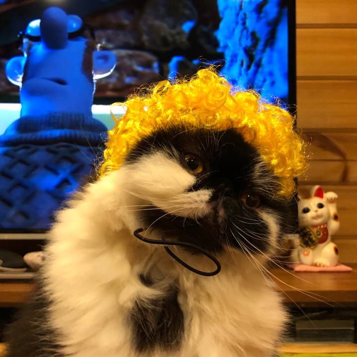 E4e44a95 3881 49dc aa8a 9c5e19f9069b 1572518178960