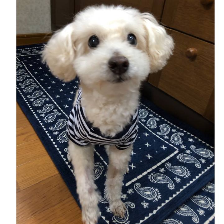 E4e44feb 6e9a 44d9 9928 2dfd69b1a988 1555425774840