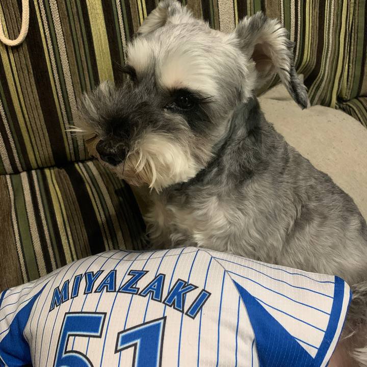 E4e45e29 dea7 4d34 850e 034252fd419b 1599641242016