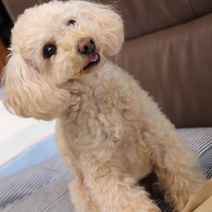 E4e48c19 3274 45d3 8a0e 3af5ffbf3685 1592227503781