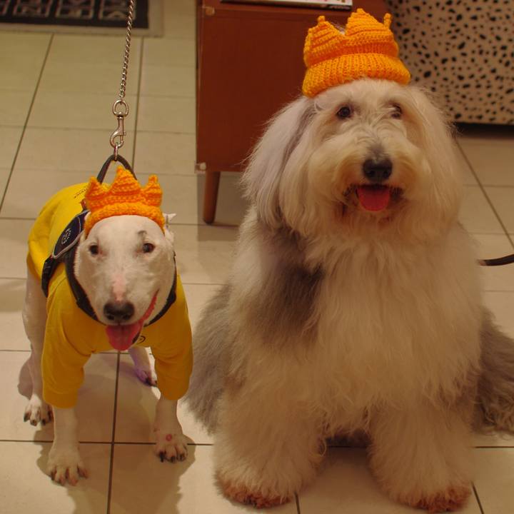 E4e4a1a5 38a1 4ea8 9a48 985fe51a99ba 1549971033757