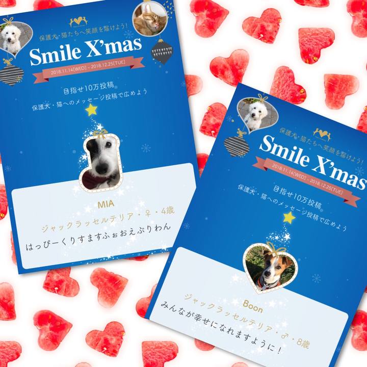 E4e4ff2f 01cd 4b76 815e 75502fb14110 1544193383629