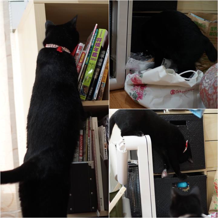 E4e50215 7710 4f5d b623 b92c58502911 1531957755674