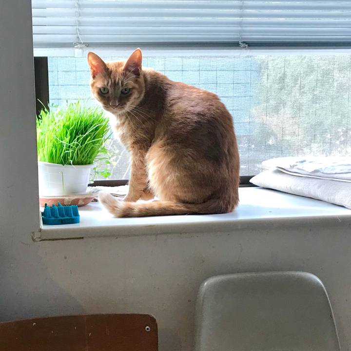 E4e5047d 016c 4ed4 a3bb 38513a84f6fb 1555981107839