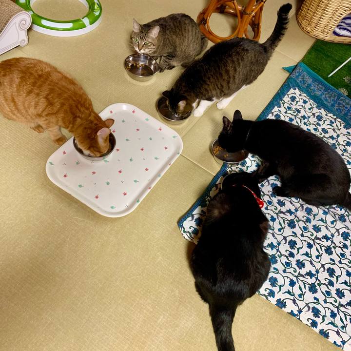 E4e56992 3485 413d a0c7 582e8d328164 1604974691350