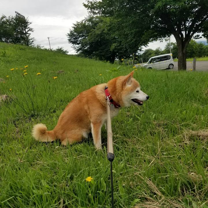 E4e57f29 3b79 45dc bd6e 346c53482ce6 1720571169199