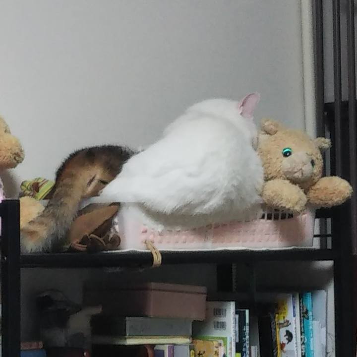 E4e5f3a7 49e0 42e1 8e29 93eee0cbdc2a 1677309960966