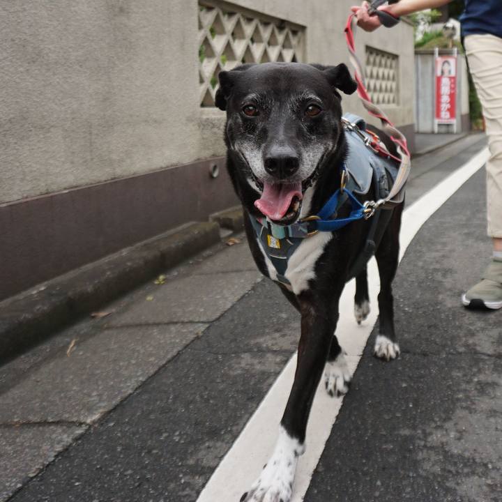 E4e637de 3cf2 472a b08a 5901ffff785b 1754870183564