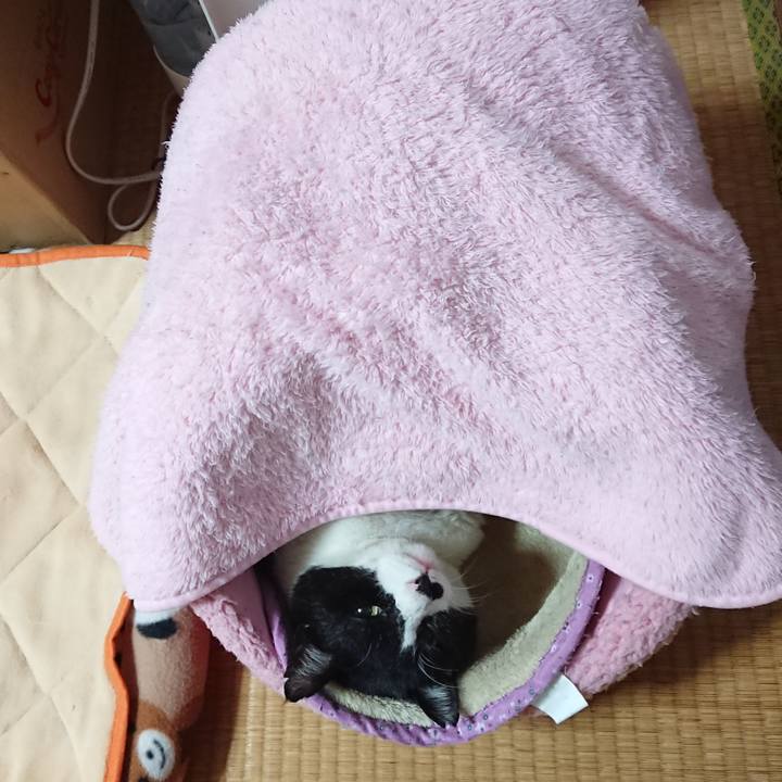 E4e65d2e 9bf5 4ade a14e 2042567c3689 1606656152781