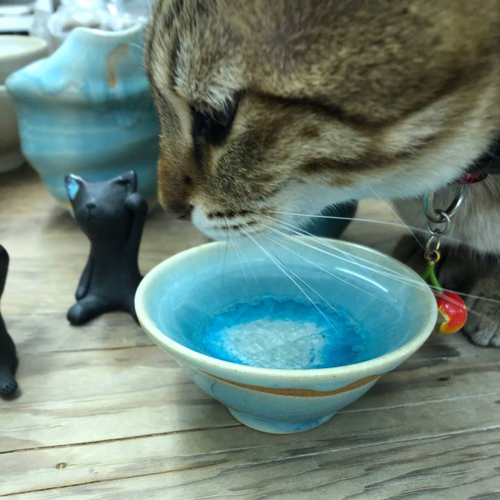 E4e6608b 7822 48ff 89c9 c72d5e61ed8f 1593064353452