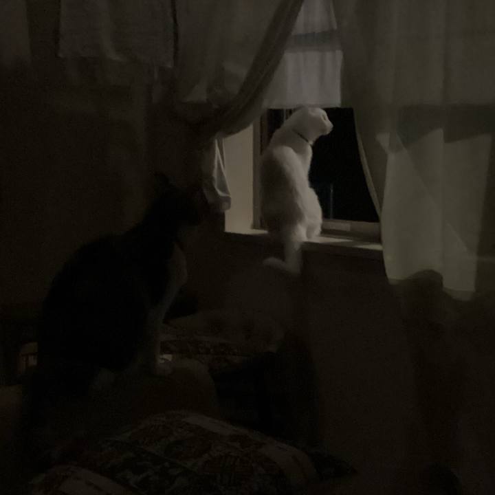 E4e66956 26c4 4d93 9ca3 8c6b66a3e4f8 1661138383687