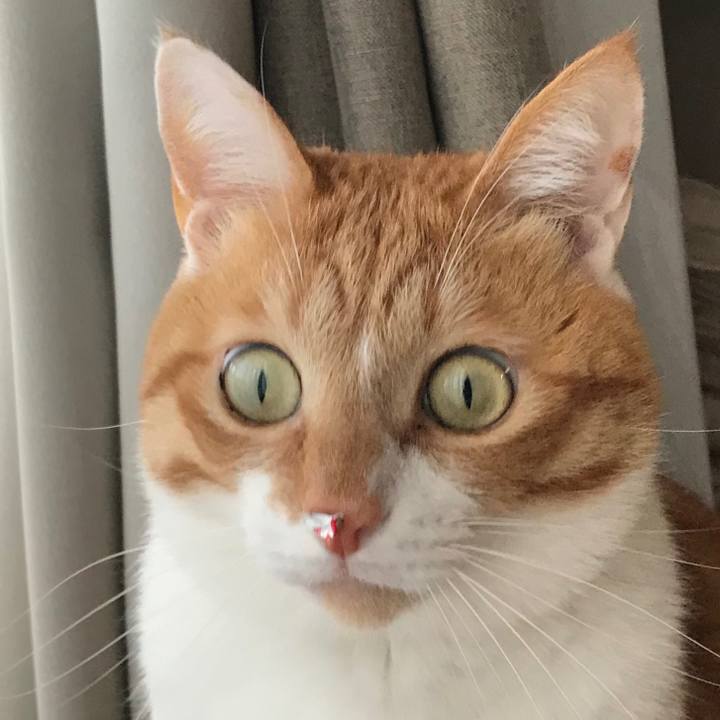 E4e69212 ec62 46c6 9c88 745e42140474 1549102136359