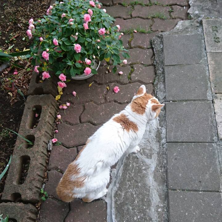 E4e69322 e536 4de6 9a9d 438d9c4d3fa1 1566169213876