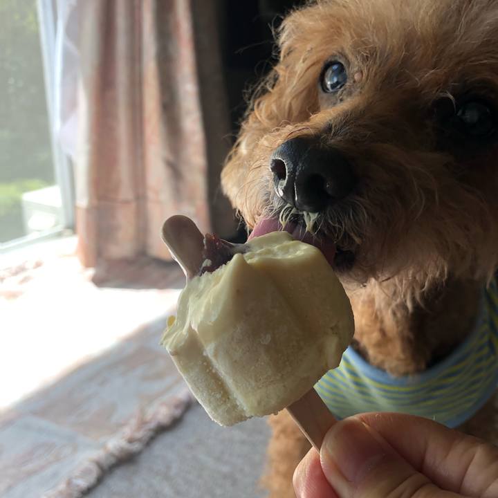 E4e6c7a2 c8cd 48f4 9bcb d20887f92169 1661918743470