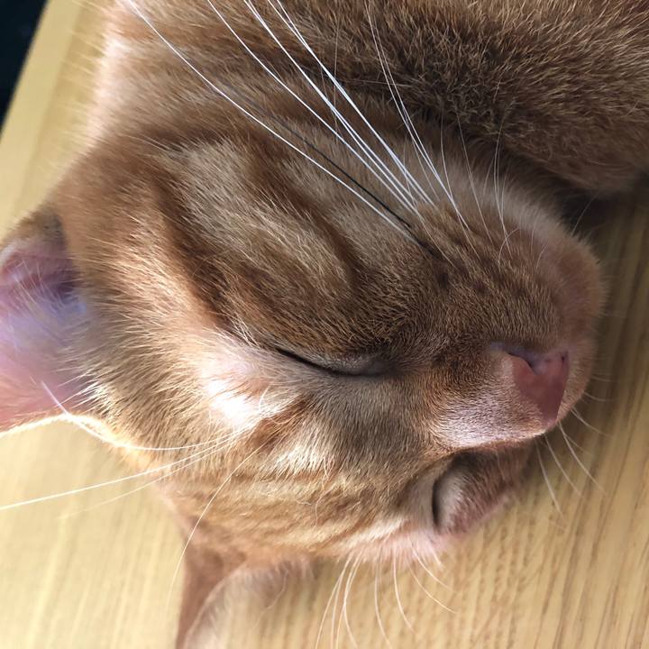 E4e6cffd 6abb 4d8f a90d de5aca123910 1532700344144