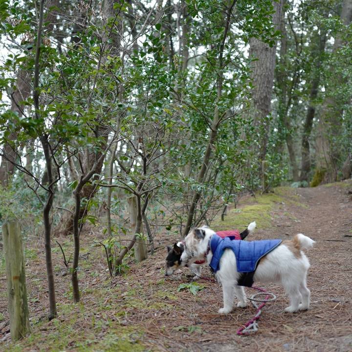 E4e6dc03 8f53 4d5e 8b40 3e3d48a03c87 1552621278021