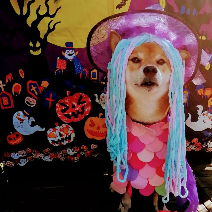 E4e6e5fc 79aa 47ac a73d d8a269b1cf87 1604104489633