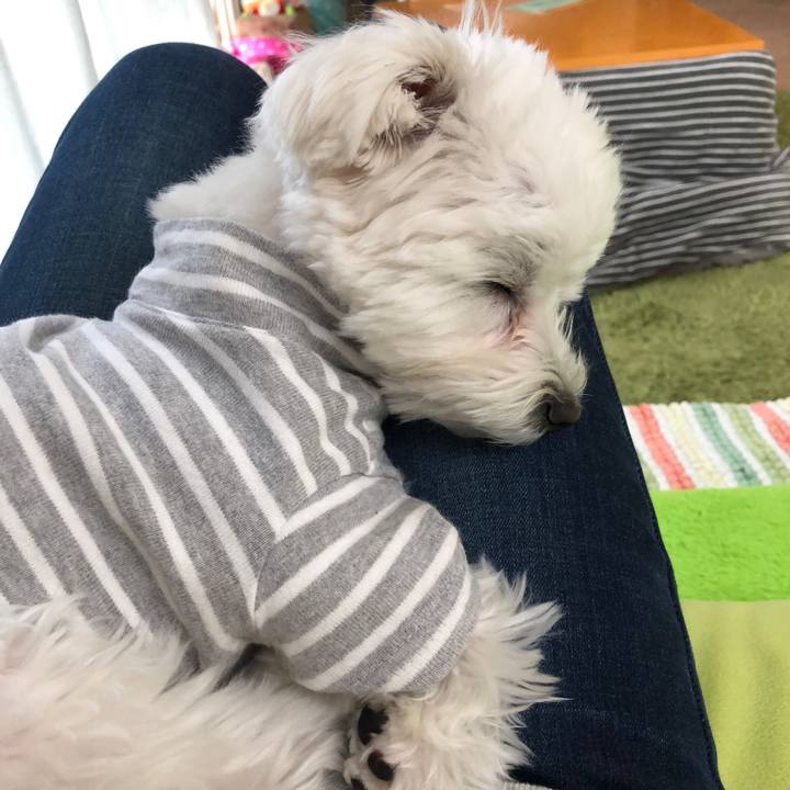 E4e742bb aa2c 4f18 8e16 5048c94df1d0 1521855993022