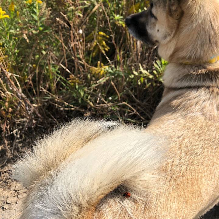 E4e7471c 8e17 45e8 8371 e8334e58ac75 1573386836940