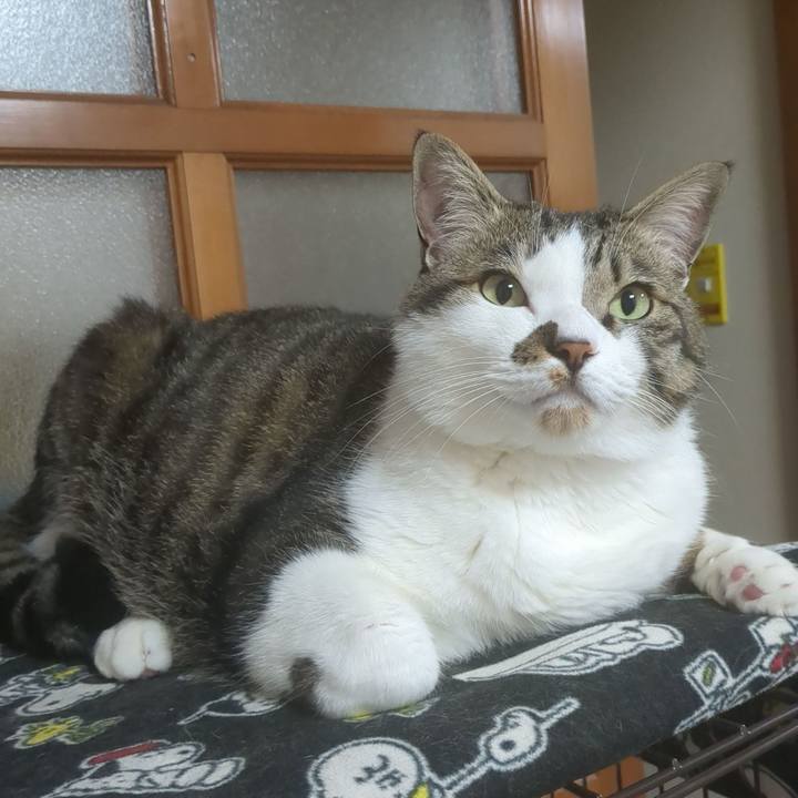 E4e76efa 60d9 4058 aa71 cff8c08edffd 1713231836375