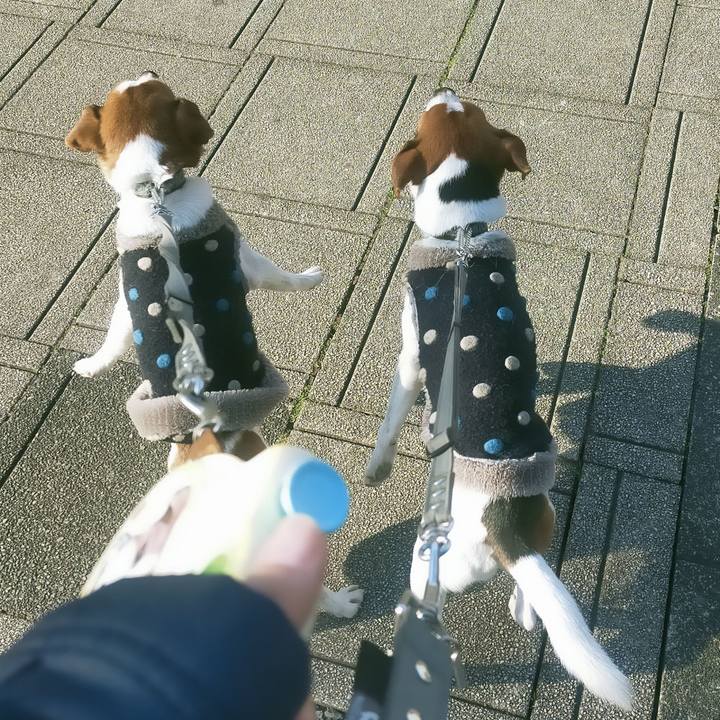 E4e7a172 5f66 4906 b121 e0dc19580e53 1768390433440