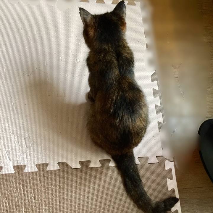 E4e7adde 5d2e 411b 9be4 32a6c416ba81 1587279270662