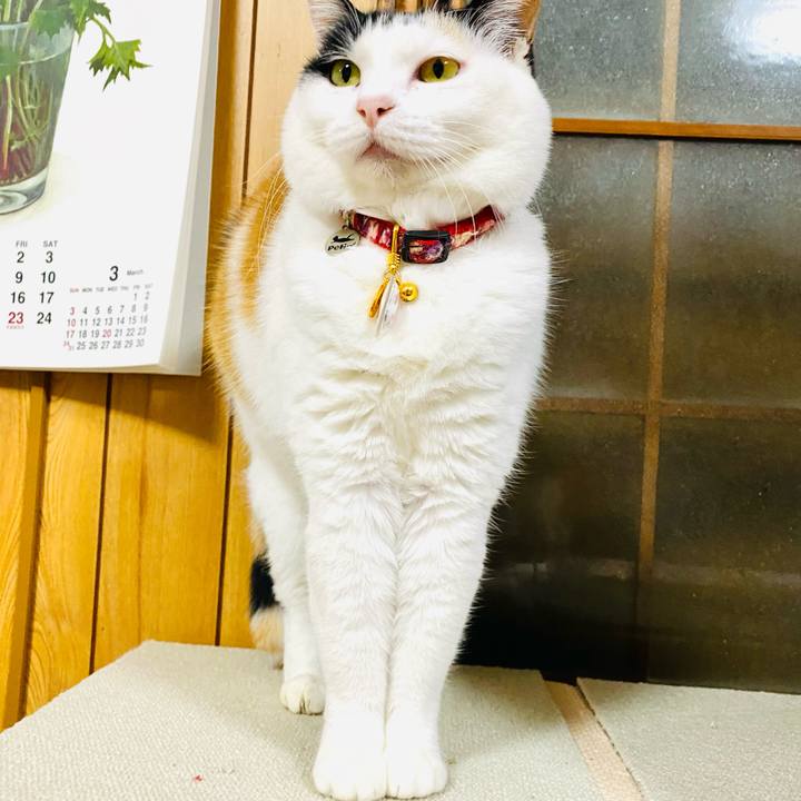 E4e7b79b 458f 4ee8 a5d5 0939d5922aac 1707470111324