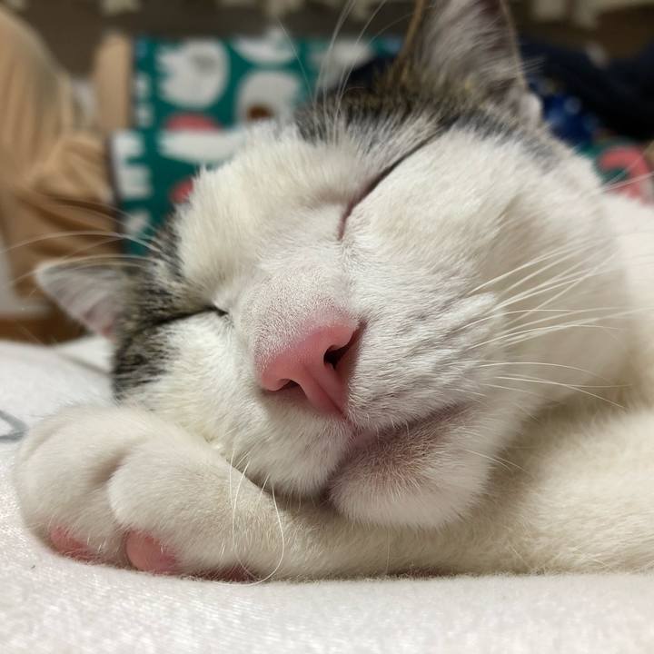 E4e7d445 d779 493f bd82 ecbe9c99f76e 1589457442133