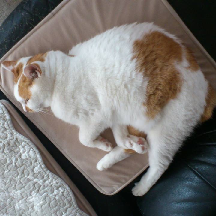 E4e7e3c9 9836 441a b6e1 0f46bc477677 1613008791828