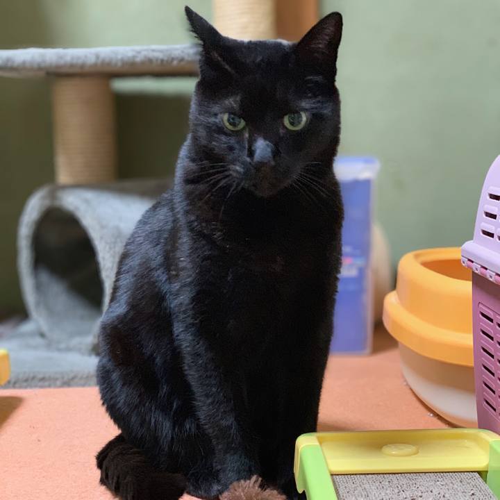 E4e7ec32 7308 40fd b207 038f139a0878 1552091927945