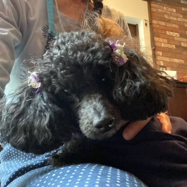 E4e84136 0a63 4e81 bebd 67a010395ded 1620966759410