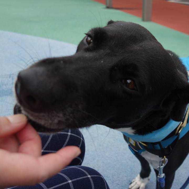 E4e857f1 2945 4f24 af93 496399ed7ddd 1627517818593