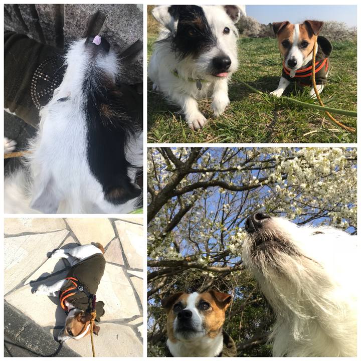 E4e876be 7376 478a 9b20 b21fa51177d9 1522283658151