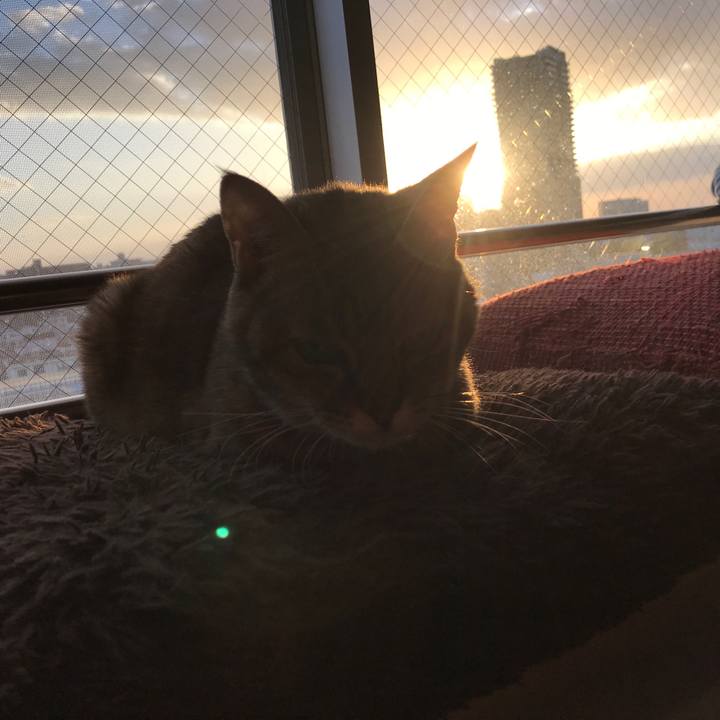 E4e88e8a 9ae3 4dd1 8db5 1ad0756e38d5 1514714941683