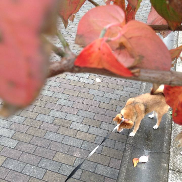 E4e89598 f32d 4c94 aea1 d0b49d303e7a 1541738347930