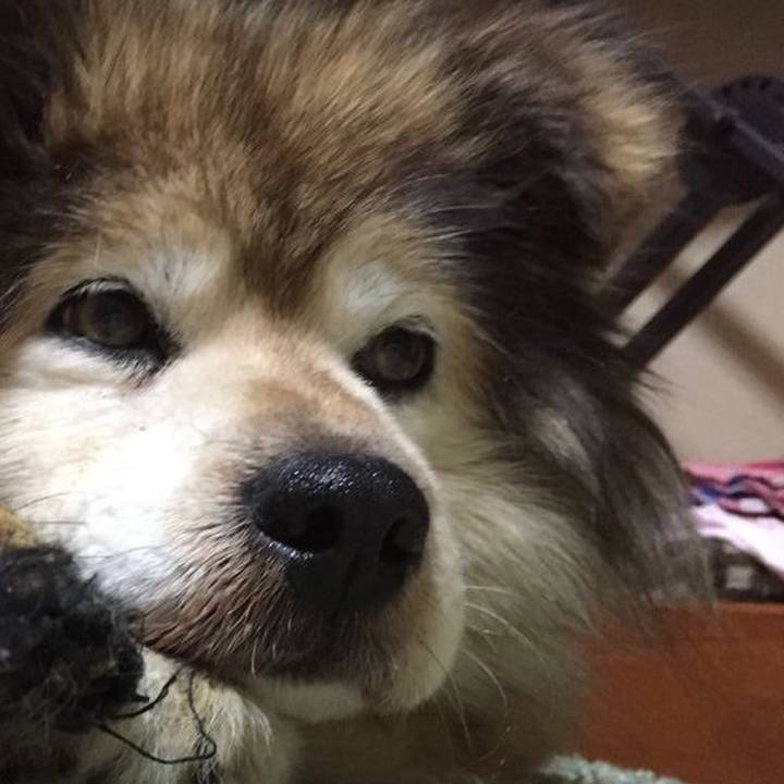 E4e8d673 13cd 4376 8c38 06f5f0437302 1612530969558