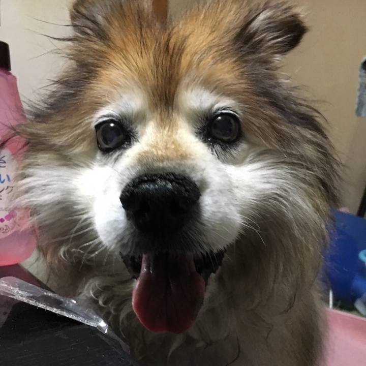 E4e8f1ee e2df 49f5 a875 7054549a29d5 1614548638415