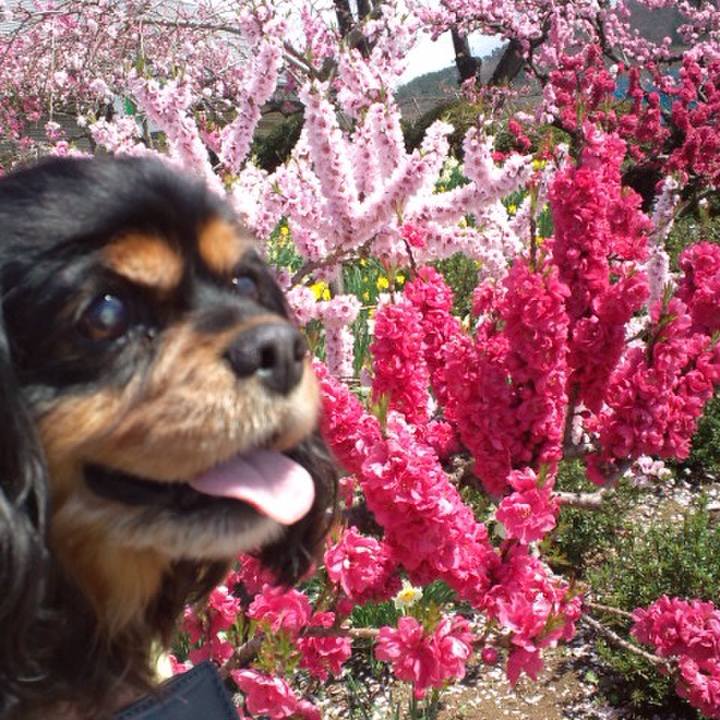 E4e8f4b9 ae40 4d50 9b7f 3f2ed0da6d95 1586136673745