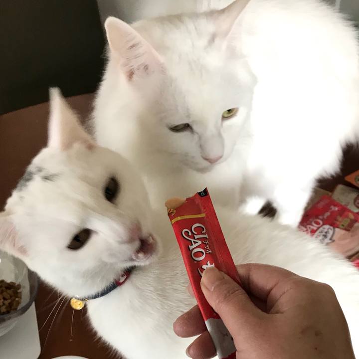 E4e934d5 8c08 455e a86c bbbc5cd6b9e6 1578973761864