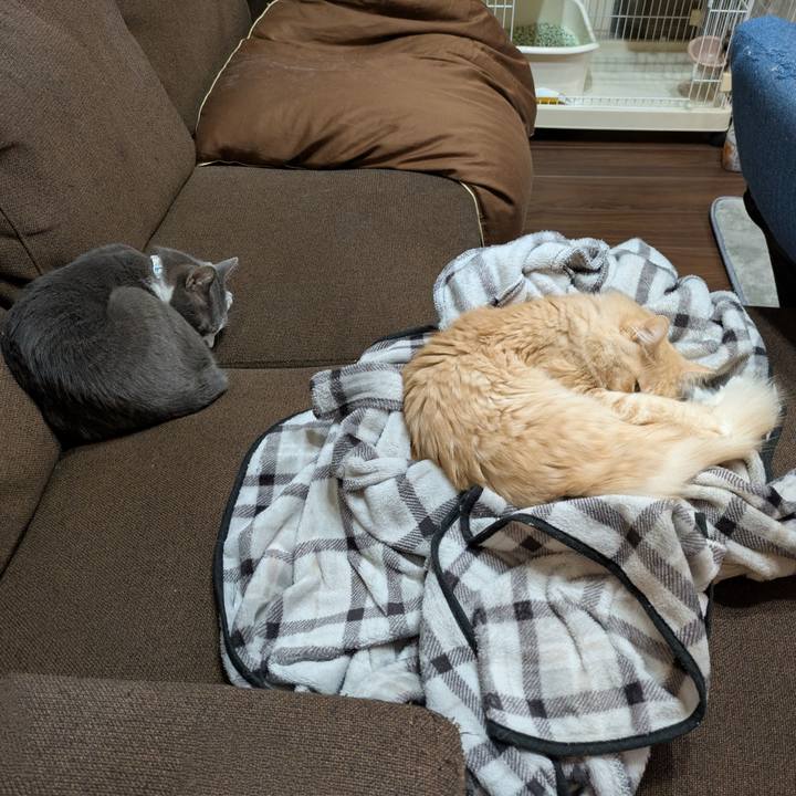 E4e94d2b 75a8 42ba 9d73 c7d72b8468fd 1735547992479