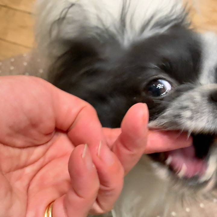 E4e9b486 04ee 4b46 aa44 753cf04f13db 1547640484158