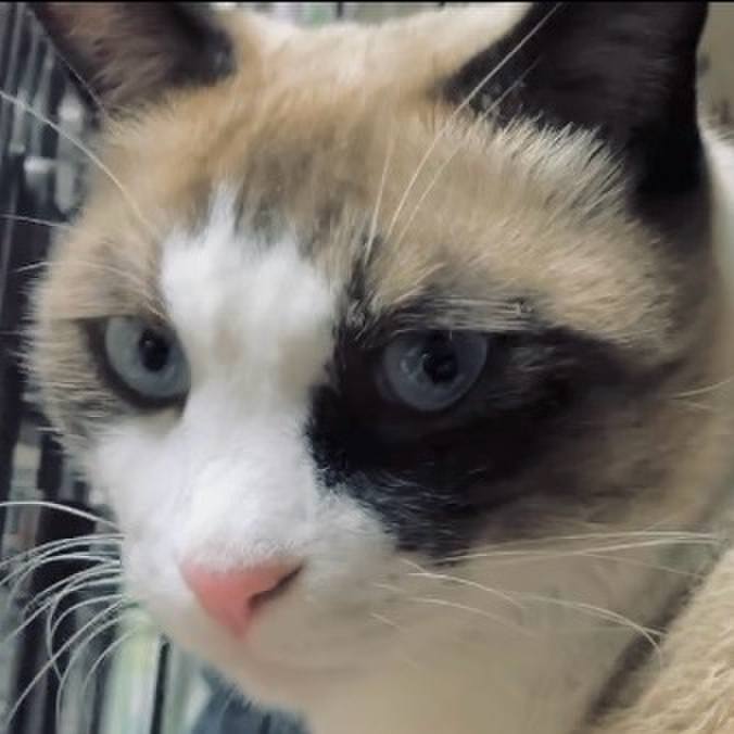 E4e9f32e 5af7 4ee0 98d3 a368d4ab5c23 1730712799285