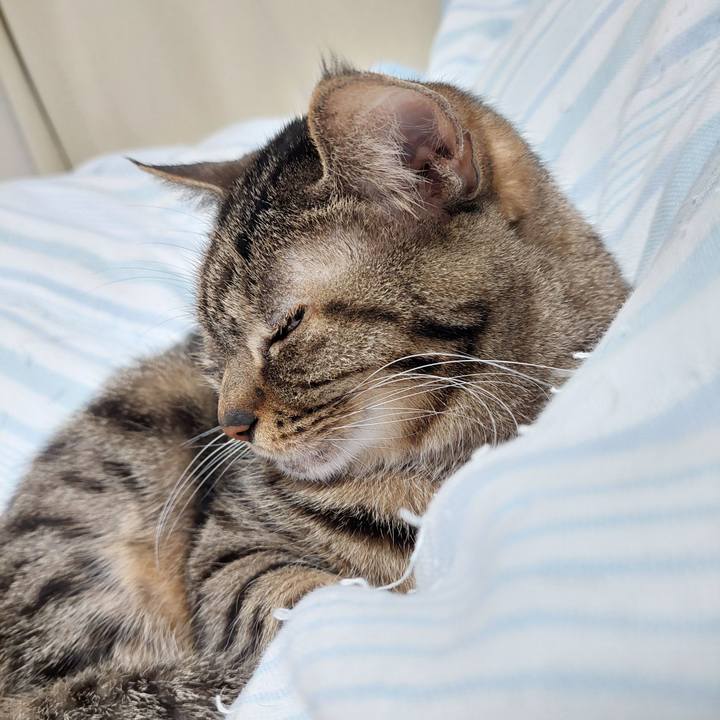 E4ea0c91 07e1 479a 844f 5ca45a06ad73 1643668476323