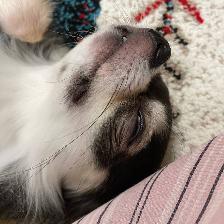 E4ea20ad 81e3 42fd 84ee 539917e51065 1696171322595