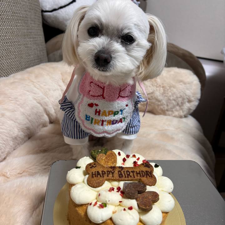 E4ea36ec 519b 44ea a055 24bbac52169e 1742867031642