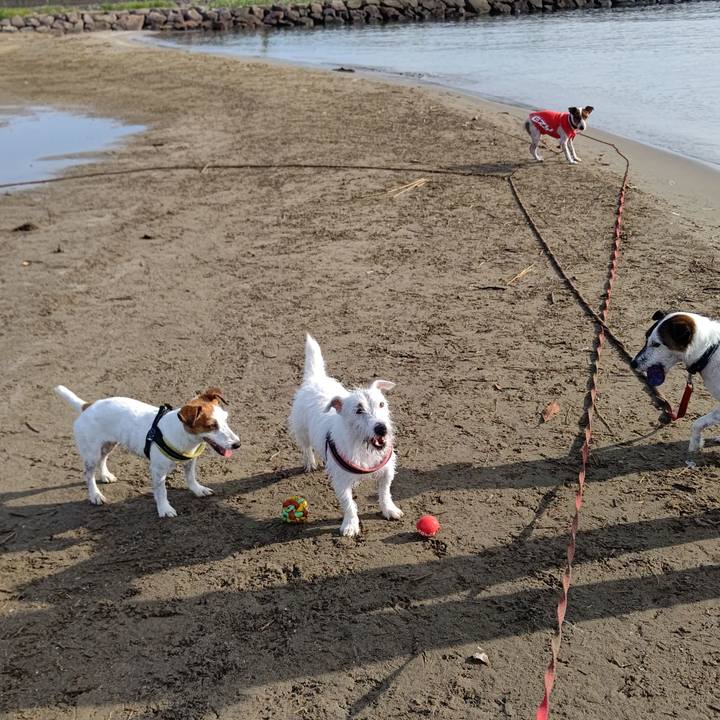 E4ea5046 4f56 44e6 8b07 3cc9eaf17ff8 1657928634475