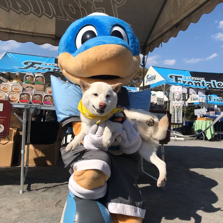 E4ea6749 f683 4a94 a444 8bc05af344ea 1553408717428