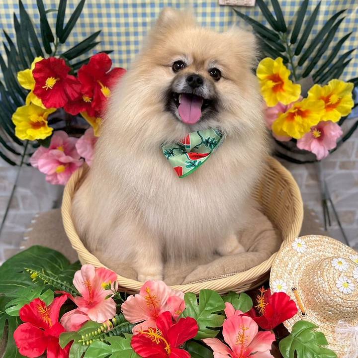 E4ea7505 a653 4ef1 91bb 56f6be5fb12c 1754115530179