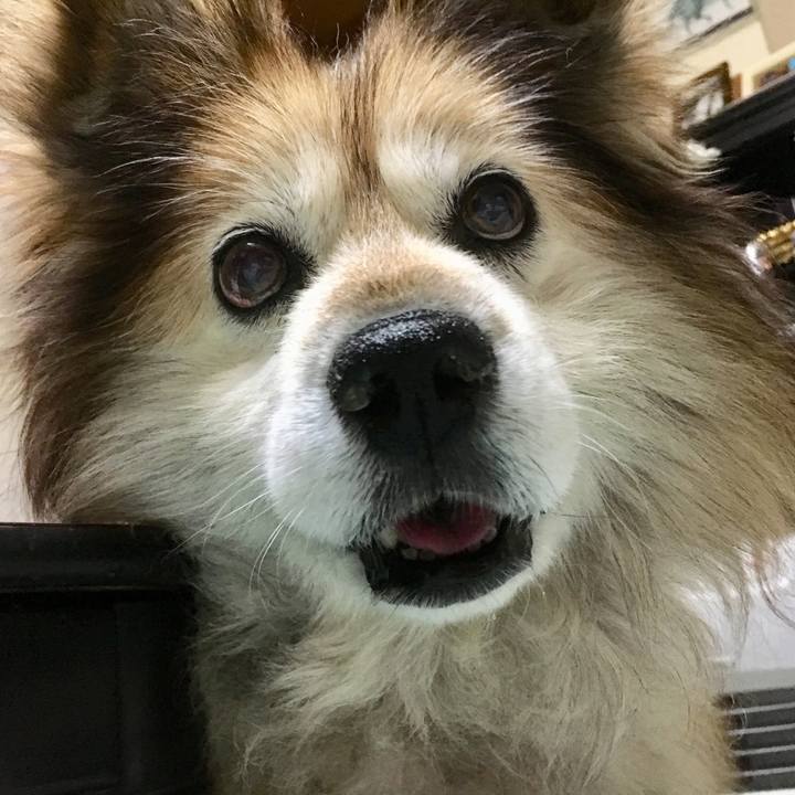 E4ea7839 b9fc 40d1 bced 1860f681762d 1549563840424