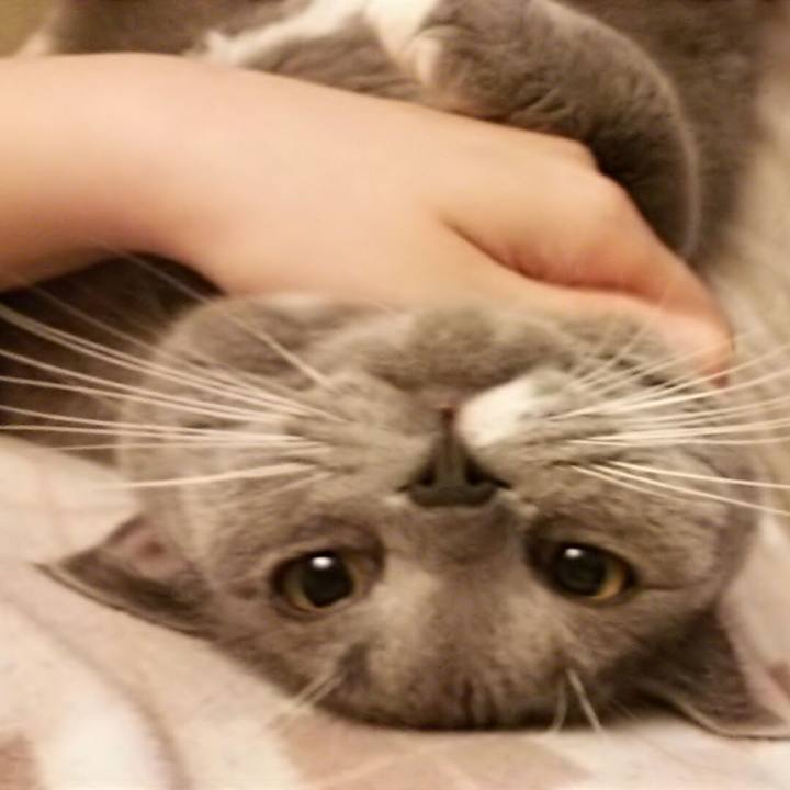 E4eab556 0c2c 4e1f bdd6 e6fdee4ed37c 1552815104589